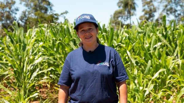 AGRICULTORES DIVERSIFICAN SU PRODUCCIÓN A PARTIR DEL CULTIVO DE GRANOS