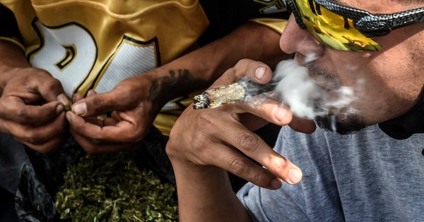 La Nación / Condenas a 30 años de prisión por consumo de cannabis conmocionan Túnez