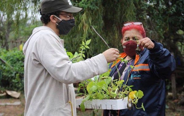 Huertas que empoderan y protegen el medio ambiente