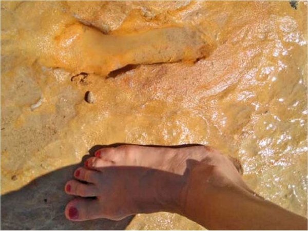 Hallan la pisada neandertal más antigua del Pleistoceno Superior