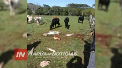 ABIGEATO EN FRAM: DOS ANIMALES FUERON FAENADOS