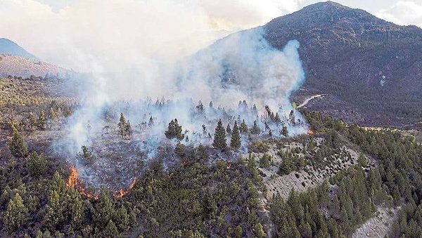 A una semana del incendio en El Bolsón, Argentina