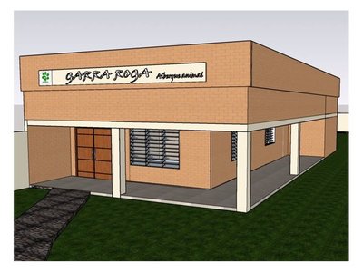 Municipalidad construirá albergue para animales abandonados y sin dueños