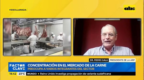 Concentración en el mercado de la carne - Factor Clave - ABC Color