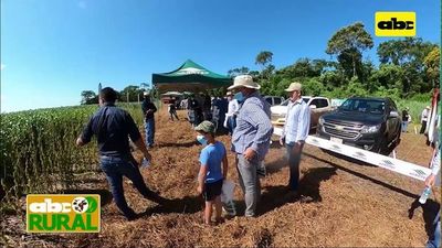 ABC Rural: Tratamiento de semillas y su importancia - ABC Rural - ABC Color