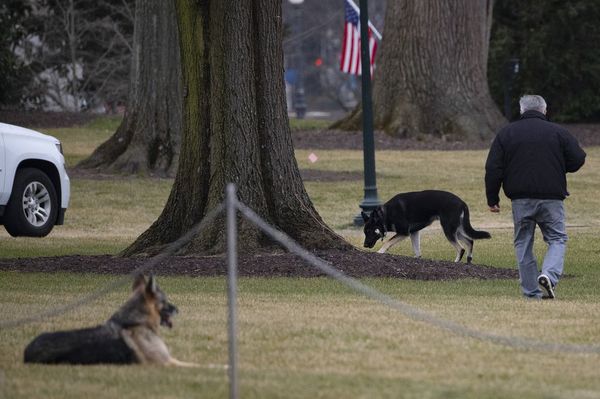 Vuelven las mascotas presidenciales a La Casa Blanca