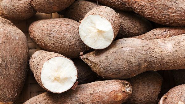 ¿Por qué la mandioca es un carbohidrato tan bueno para la salud?