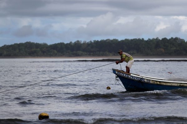 La pesca de Perú creció 2,08 %, pero la minería cayó 13 % en 2020 - MarketData