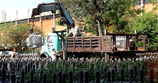 La Nación / Averías en la Ande: rayos, árboles caídos y raudales
