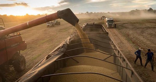 La Nación / Commodities podrían atravesar un nuevo superciclo