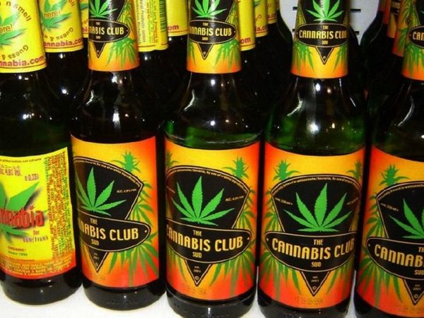 Presentan la primera cerveza de cannabis en Puerto Rico