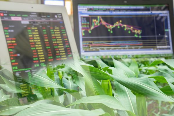 Clima favorable y suba de precios de commodities sostienen perspectivas económicas positivas para el 2021 - MarketData