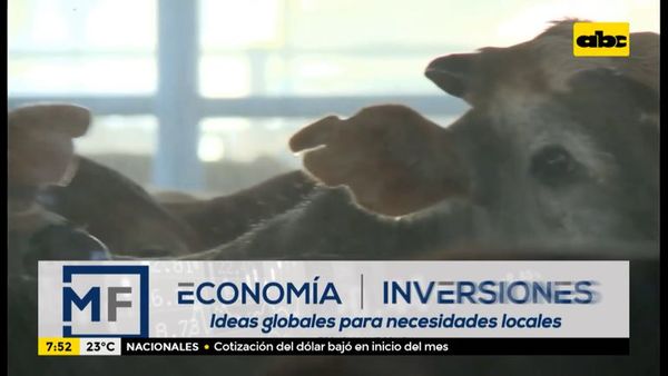 Enfoque Económico: comercio de la carne paraguaya - Enfoque económico - ABC Color