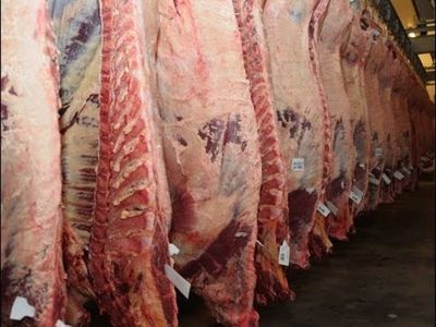 Envío de carne arrancó con la mejor cifra en cinco años
