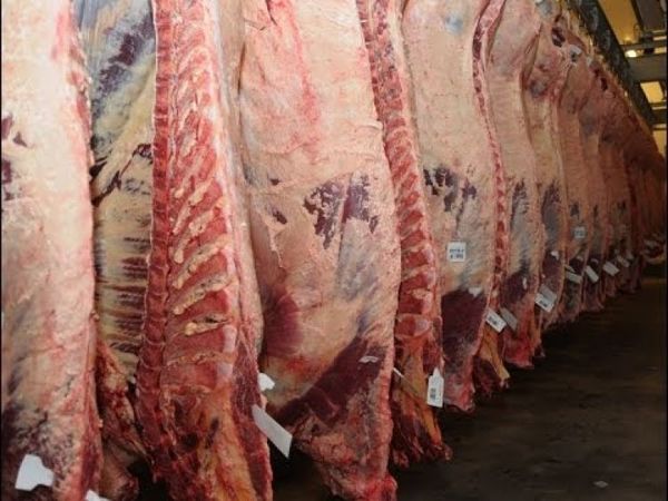 Envío de carne arrancó con la mejor cifra en cinco años