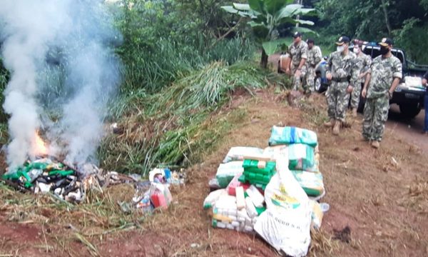 Destruyen casi una tonelada de marihuana
