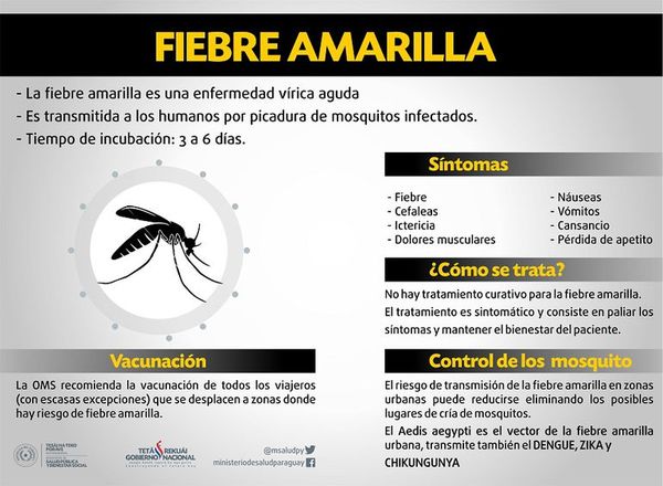 Alerta viajeros: confirman un caso de fiebre amarilla en Santa Catarina - Nacionales - ABC Color