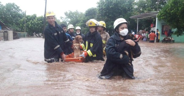La Nación / Evacuan a 300 familias con viviendas inundadas por temporal en Caacupé