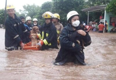 Arroyos desbordados desplazan a familias en Caacupé