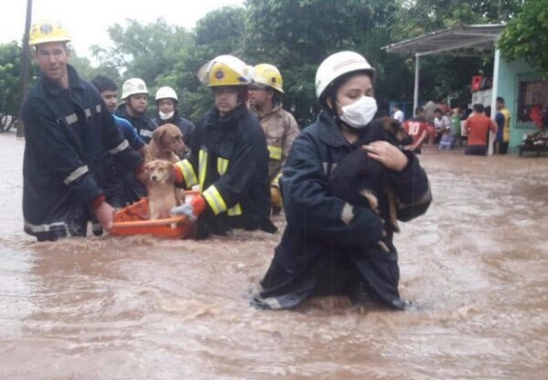 Arroyos desbordados desplazan a familias en Caacupé