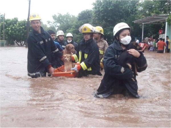 Cordillera: Desbordes, cortes de rutas y cientos de damnificados por temporal