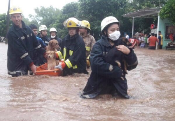 Arroyos desbordados desplazan a familias en Caacupé - Noticiero Paraguay