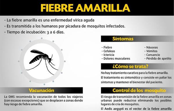 Salud alerta a viajeros por caso confirmado de fiebre amarilla en Santa Catarina