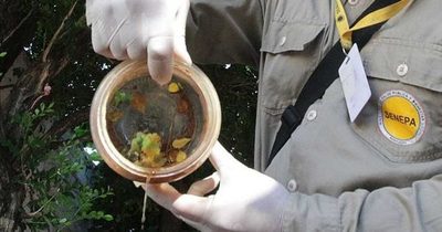 ENCARAN CAMPAÑA CONTRA EL DENGUE EN ENCARNACIÓN