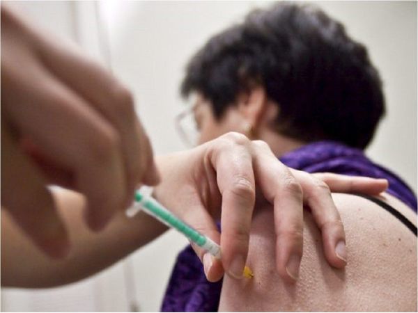 Detectan un caso de fiebre amarilla en Santa Catarina