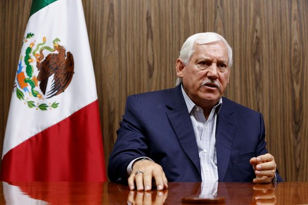 Sector primario mexicano creció 2 % en 2020 mientras la economía cayó 8,3 % - MarketData