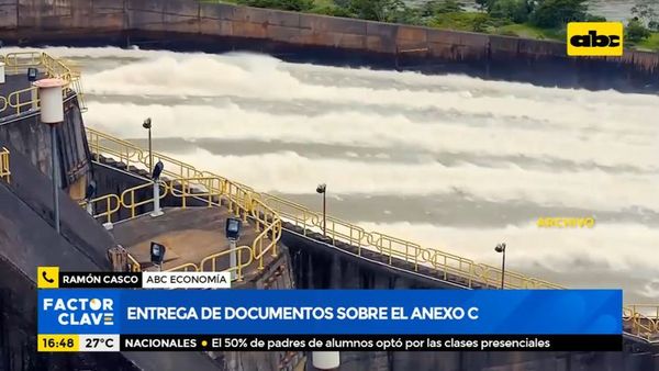 Entrega de documentos sobre el anexo C - Factor Clave - ABC Color