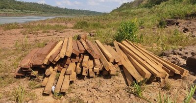 La Nación / EEUU y Europa podrían estar importando madera ilegal de Brasil, señala informe
