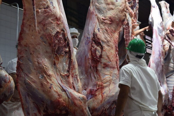 En volumen, se registró el mejor comienzo de exportación de carne de los últimos diez años