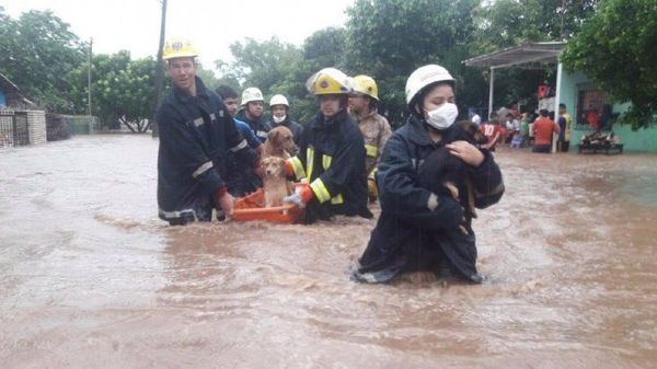 Cordillera: Desbordes, cortes de rutas y cientos de damnificados por temporal