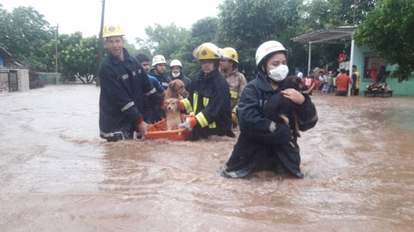 HOY / Inundaciones tras inusual lluvia: más de mil casas fueron afectadas en Cordillera