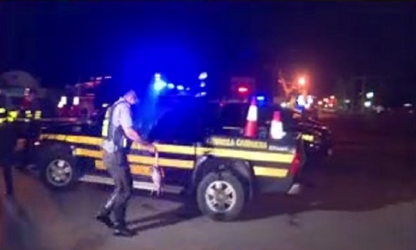 Armadillo fue rescatado por agentes de la caminera en Ypacaraí - C9N