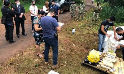 Marinos destruyen casi una tonelada de marihuana por orden judicial – Diario TNPRESS