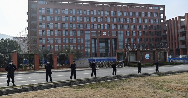 La Nación / Instituto de Virología de Wuhan: ¿dejó escapar el coronavirus?