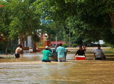 Al menos 60.000 hectáreas de cultivos perdidas por las lluvias en Bolivia - MarketData