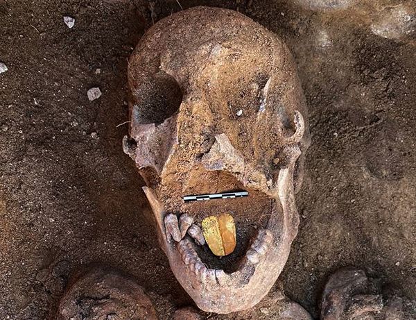 Misión arqueológica egipcio-dominicana descubre momias con lenguas de oro cerca de Alejandría - Ciencia - ABC Color