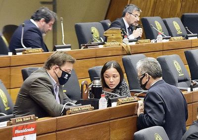 Mesa directiva y líderes de bancada definirán representantes en la Comisión Nacional de Revisión del Tratado de Itaipú - Nacionales - ABC Color