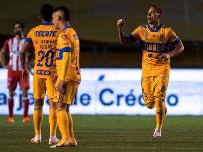 Tigres por un lugar en semis