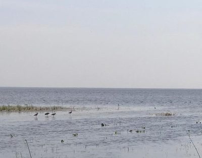 Ascenso de 1,60 m registra la Cuenca del lago Ypacaraí con respecto al año pasado
