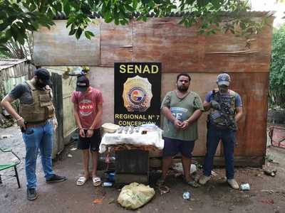 Concepción: Tras allanamiento detienen a dos personas por supuesta comercialización de marihuana