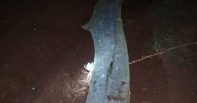 La Nación / Débil poste de la Ande cayó y electrocutó a toda una familia en Itapúa