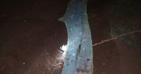 La Nación / Débil poste de la Ande cayó y electrocutó a toda una familia en Itapúa