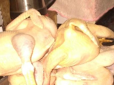 Obstetra hace delivery de gallina casera para chulear la crisis