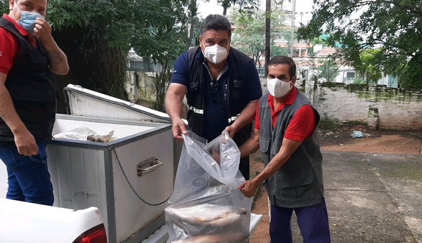 Villa Hayes: Vehículo que transportaba pescados de forma ilegal fue interceptado