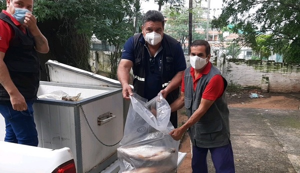 Interpectan vehículo que transportaba pescados de forma ilegal en Villa Hayes