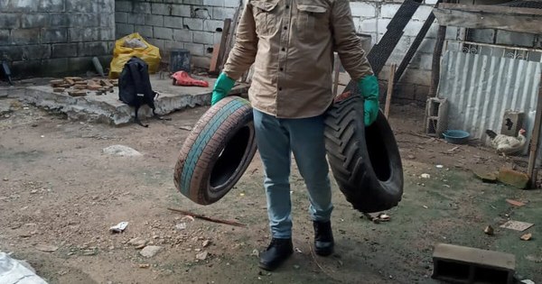 La Nación / Preocupa aumento de casos de dengue y COVID-19 en Concepción